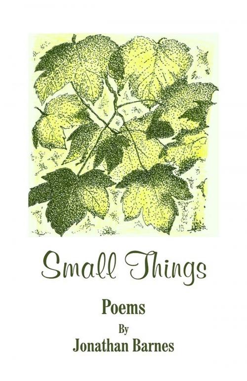 Cover of the book Small Things by Jonathan Barnes, Jonathan Barnes