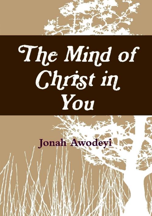 Cover of the book Thine is the Kingdom by Jonah Awodeyi, Jonah Awodeyi
