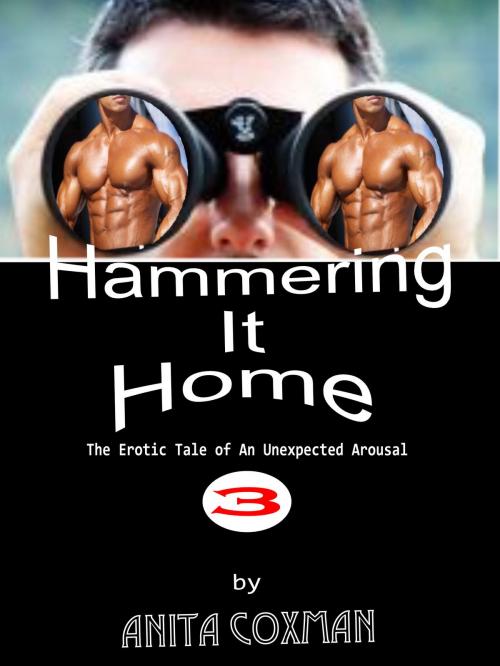 Cover of the book Hammering It Home 3 by Anita Coxman, Anita Coxman