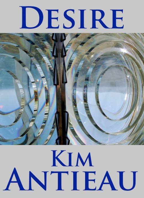 Cover of the book Desire by Kim Antieau, Green Snake Publishing