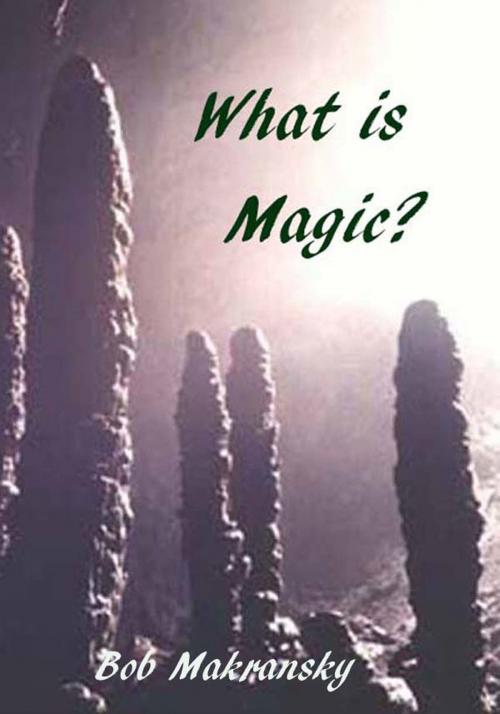 Cover of the book What is Magic? by Bob Makransky, Bob Makransky