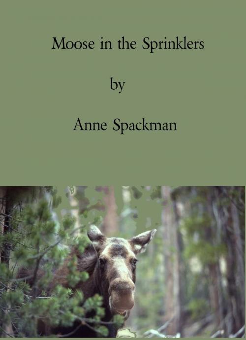 Cover of the book Moose in the Sprinklers by Anne Spackman, Anne Spackman