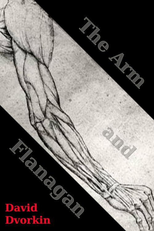 Cover of the book The Arm and Flanagan by David Dvorkin, David Dvorkin