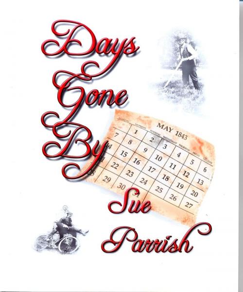 Cover of the book Days Gone By by Sue Parrish, PBL Limited