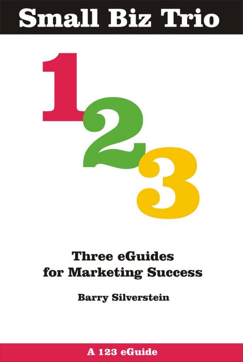 Cover of the book Small Biz Trio: Three eGuides for Marketing Success by Barry Silverstein, Barry Silverstein
