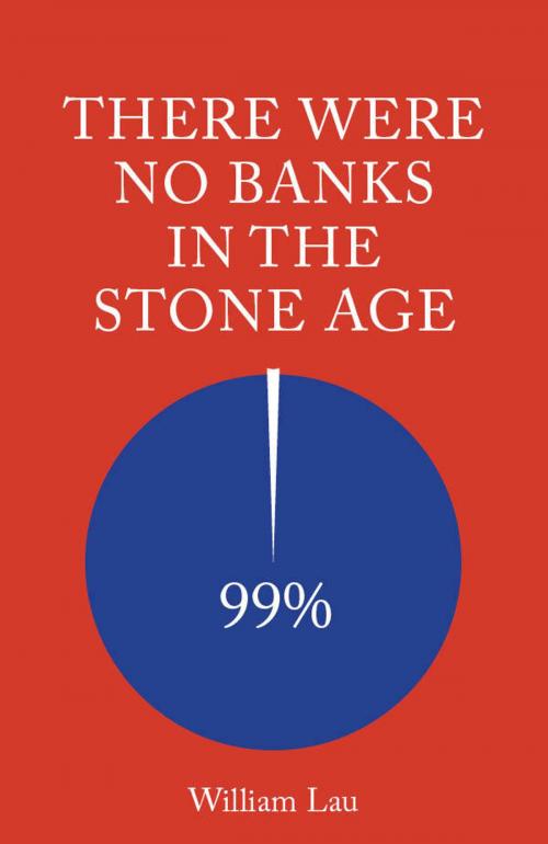 Cover of the book There Were No Banks In The Stone Age by William Lau, William Lau