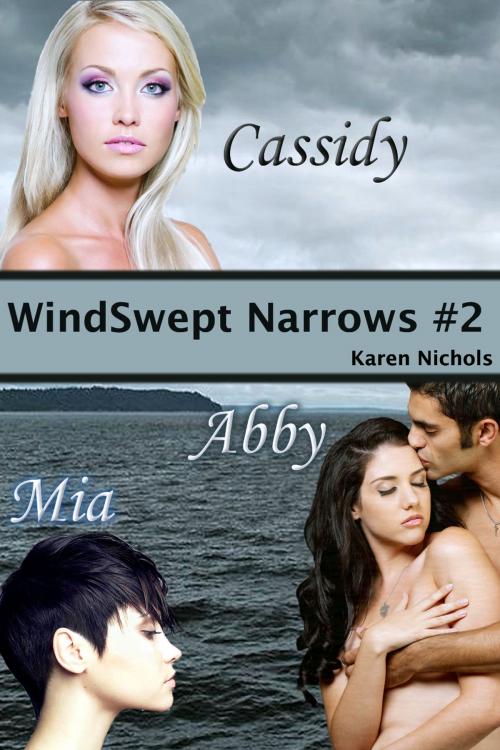 Cover of the book WindSwept Narrows: #2 Cassidy, Abby & Mia by Karen Diroll-Nichols, Karen Diroll-Nichols