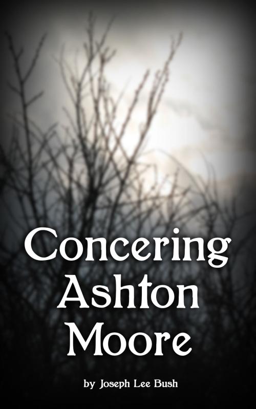 Cover of the book Concerning Ashton Moore by Joseph Lee Bush, Joseph Lee Bush