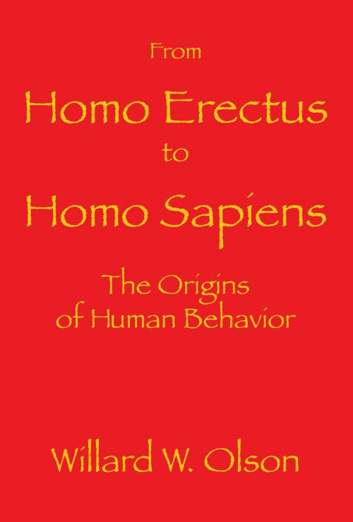 Cover of the book From Homo Erectus to Homo Sapiens: The Origins Of Human Behavior by Willard W. Olson, Elderberry Press