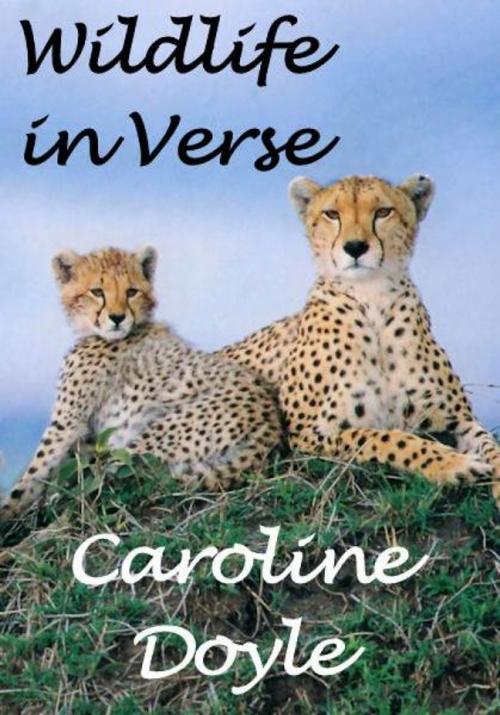 Cover of the book Wildlife In Verse by Caroline Doyle, Caroline Doyle