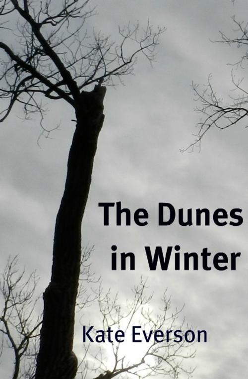Cover of the book The Dunes in Winter by Kate Everson, Kate Everson