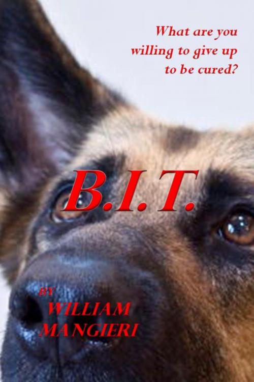Cover of the book B.I.T. by William Mangieri, William Mangieri