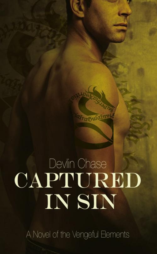 Cover of the book Captured In Sin by Devlin Chase, Devlin Chase