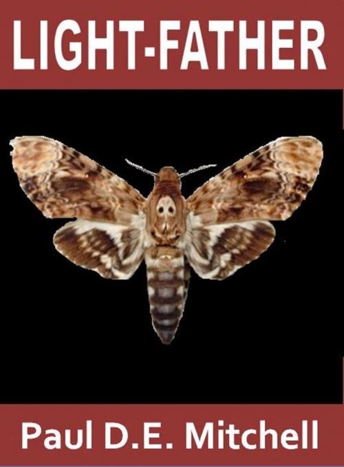Cover of the book Light-Father by Paul D.E. Mitchell, Paul D.E. Mitchell