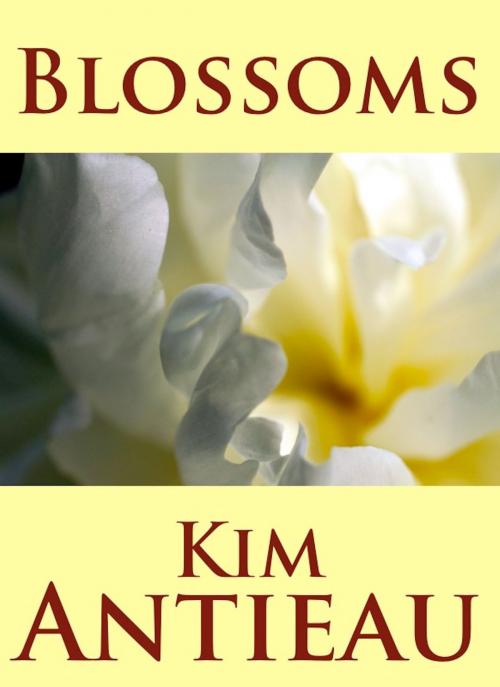 Cover of the book Blossoms by Kim Antieau, Green Snake Publishing