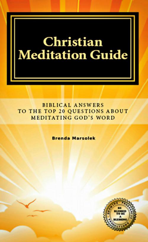 Cover of the book Christian Meditation Guide: Biblical Answers To The Top 20 Questions About Meditating God's Word by Brenda Marsolek, Brenda Marsolek