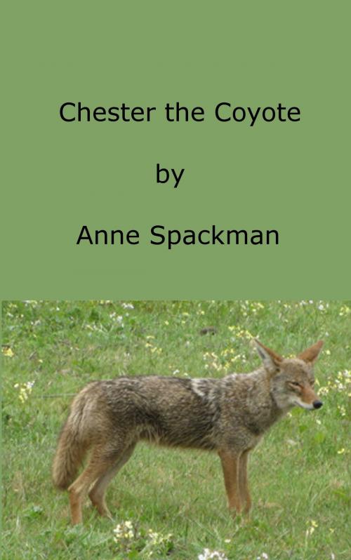Cover of the book Chester the Coyote by Anne Spackman, Anne Spackman