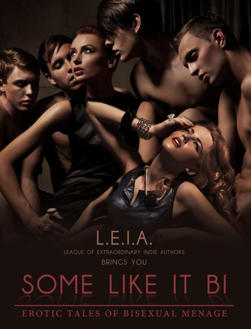 Cover of the book Some Like it Bi: Erotic Tales of Bisexual Menage by Jennifer Roberts, Jennifer Roberts