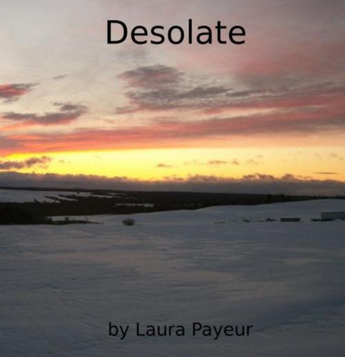 Cover of the book Desolate by Laura Payeur, Laura Payeur