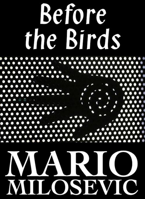 Cover of the book Before the Birds by Mario Milosevic, Green Snake Publishing