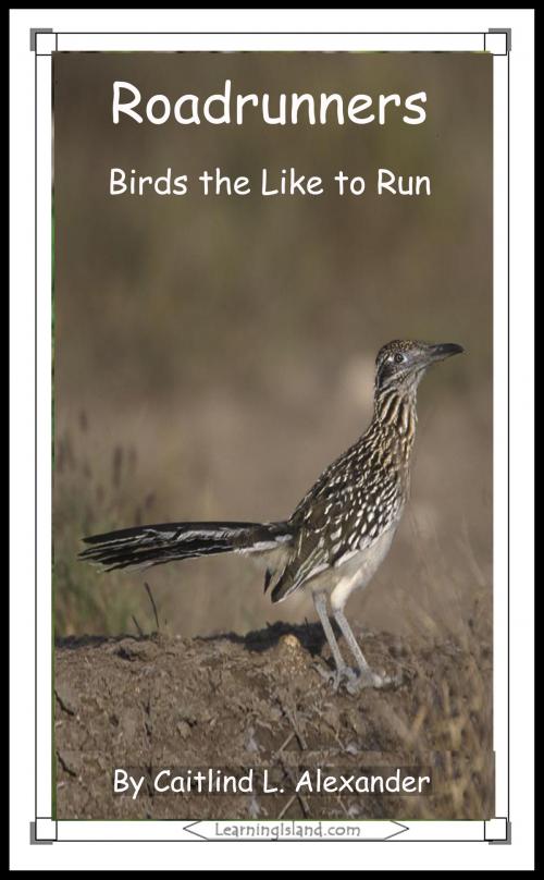 Cover of the book Roadrunners: Birds That Like To Run by Caitlind L. Alexander, LearningIsland.com