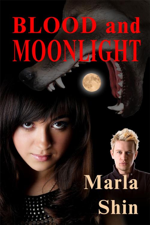 Cover of the book Blood and Moonlight by Marla Shin, Marla Shin