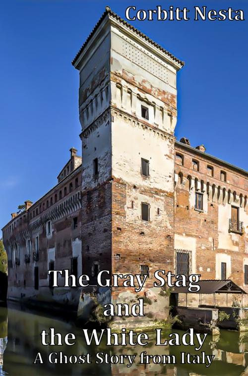 Cover of the book The Gray Stag and The White Lady by Corbitt Nesta, Corbitt Nesta