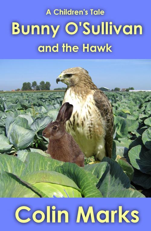 Cover of the book Bunny O'Sullivan and the Hawk by Colin Marks, Colin Marks