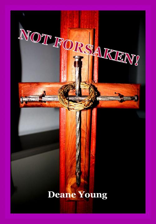 Cover of the book Not Forsaken! by Deane Young, Deane Young