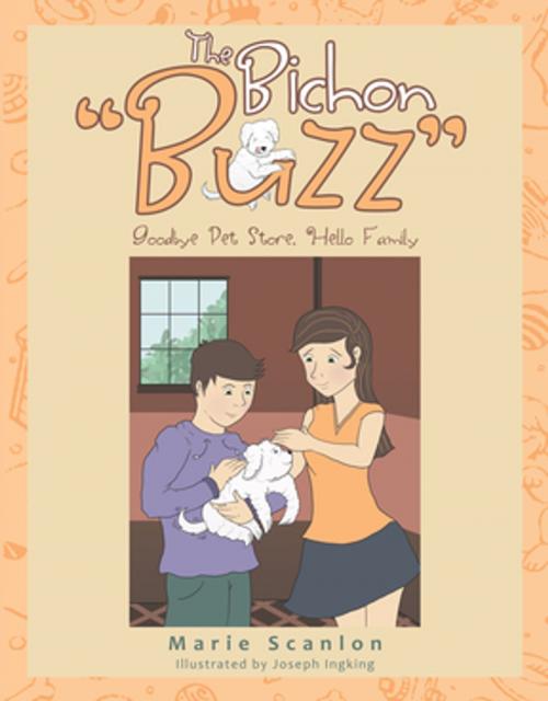 Cover of the book The Bichon "Buzz" by Marie Scanlon, Trafford Publishing