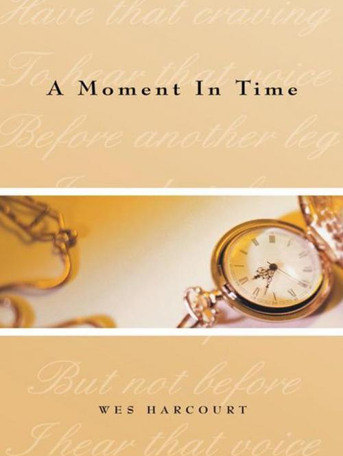 Cover of the book A Moment in Time by Wes Harcourt, AuthorHouse