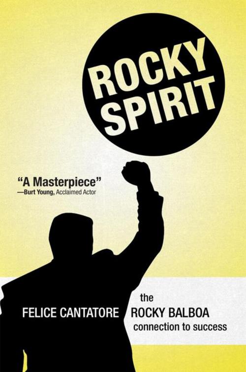 Cover of the book Rocky Spirit by Felice Cantatore, iUniverse