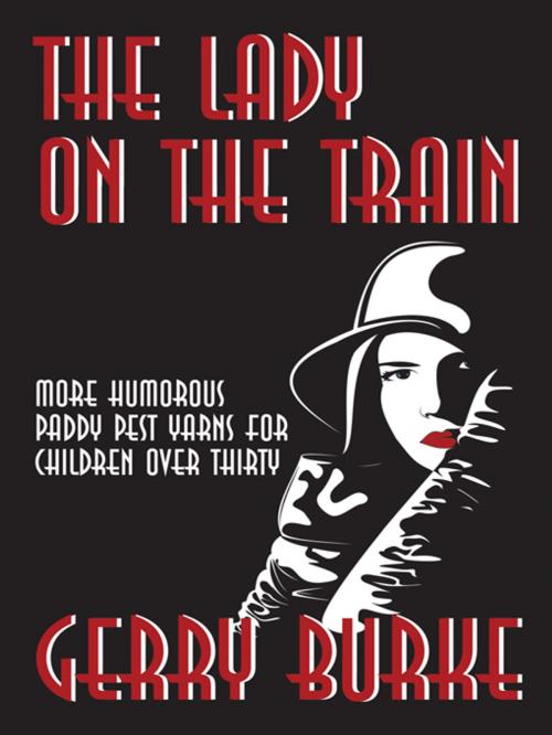 Cover of the book The Lady on the Train by Gerry Burke, iUniverse