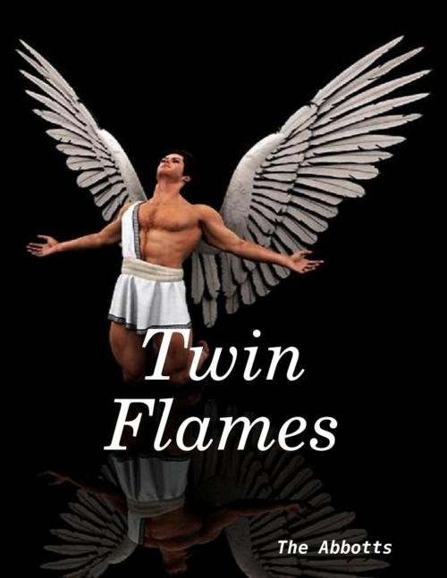 Cover of the book Twin Flames by The Abbotts, Lulu.com