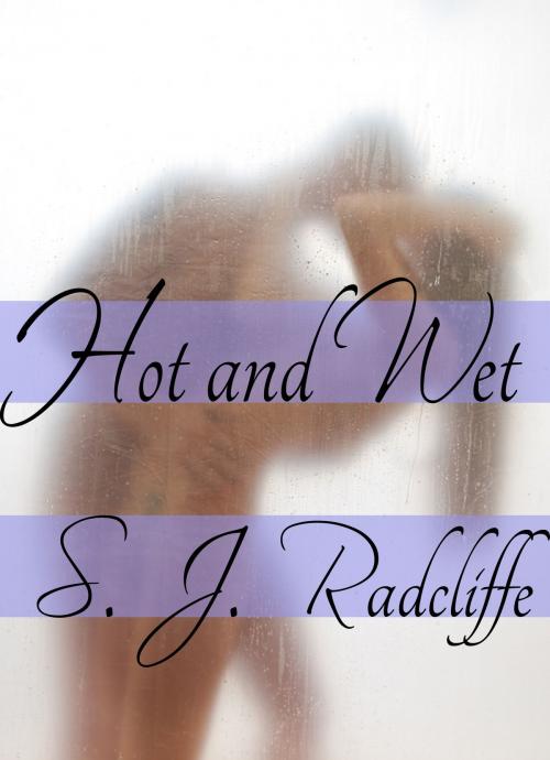 Cover of the book Hot and Wet by S. J. Radcliffe, Sara Winters