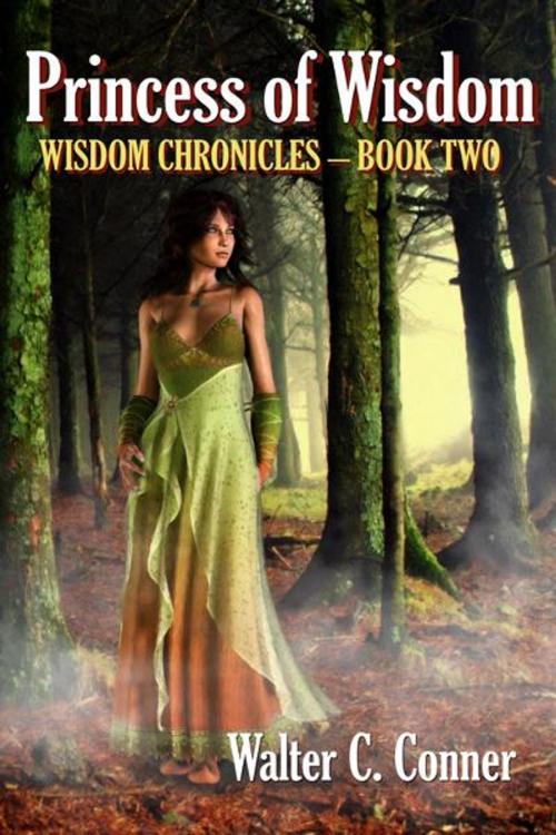 Cover of the book Princess Of Wisdom by Walter C. Conner, Double Dragon Publishing