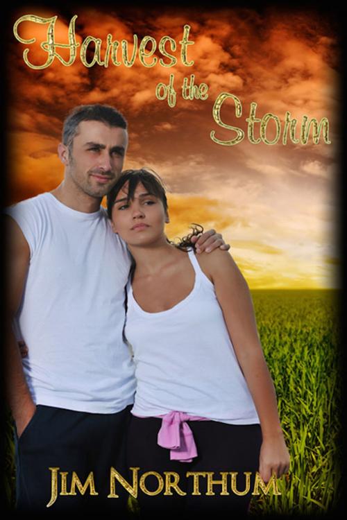 Cover of the book Harvest of the Storm by Jim Northum, eXtasy Books Inc