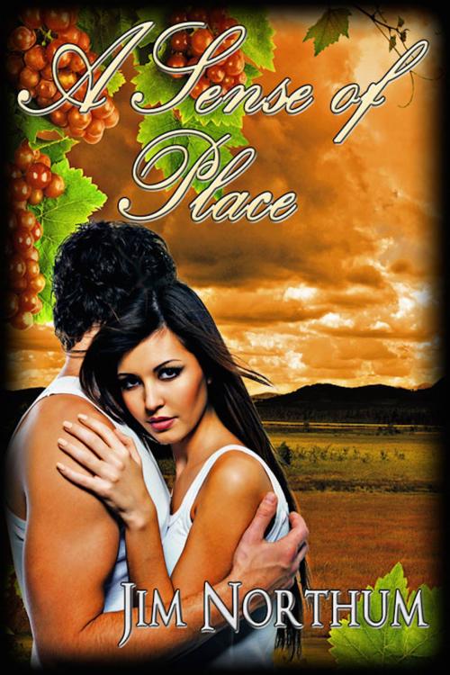 Cover of the book A Sense of Place by Jim Northum, eXtasy Books Inc