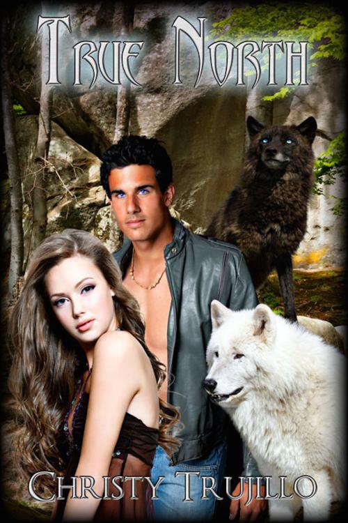 Cover of the book True North by Christy Trujillo, eXtasy Books Inc