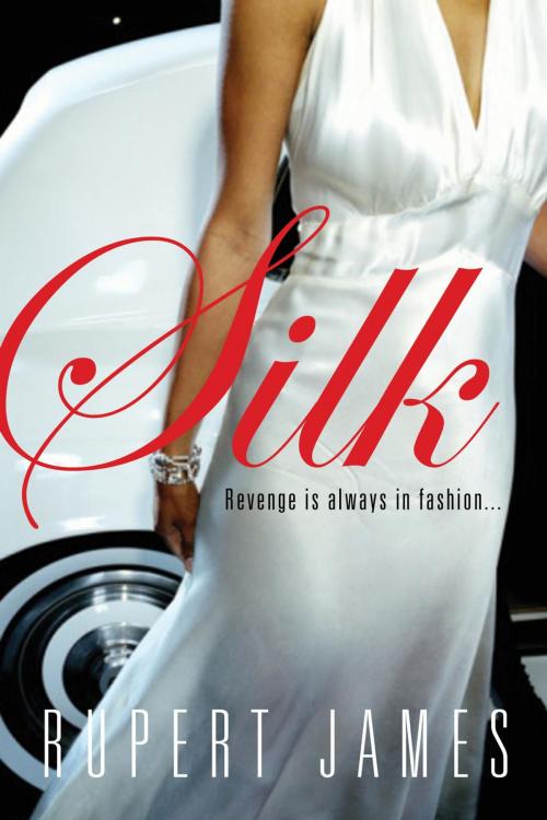 Cover of the book Silk by Rupert James, Cleis Press