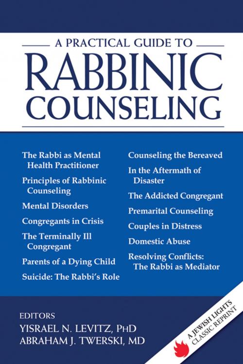 Cover of the book A Practical Guide to Rabbinic Counseling by , Jewish Lights Publishing