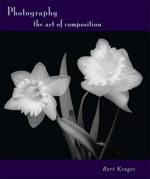 Cover of the book Photography by Bert Krages, Allworth