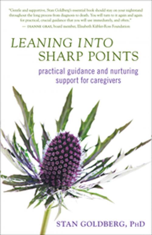Cover of the book Leaning into Sharp Points by Stan Goldberg, PhD, New World Library