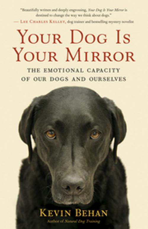 Cover of the book Your Dog Is Your Mirror by Kevin Behan, New World Library