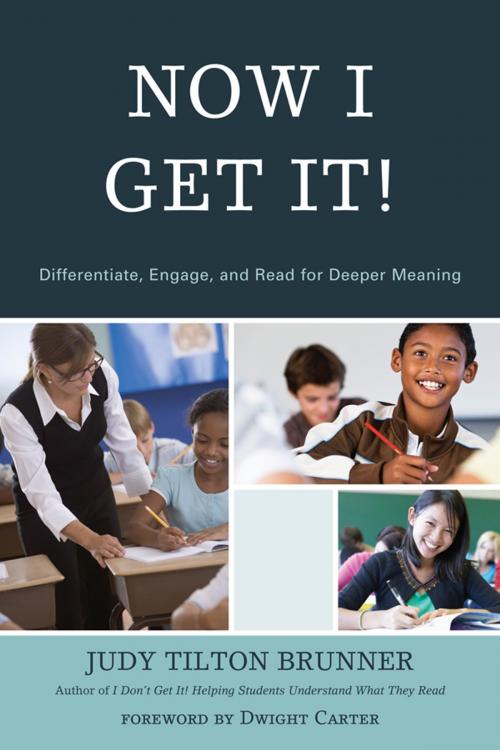 Cover of the book Now I Get It! by Judy Tilton Brunner, R&L Education