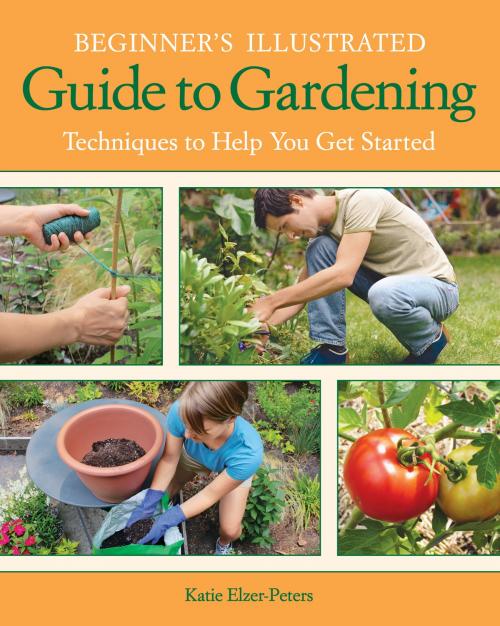 Cover of the book Beginner's Illustrated Guide to Gardening by Katie Elzer-Peters, Cool Springs Press