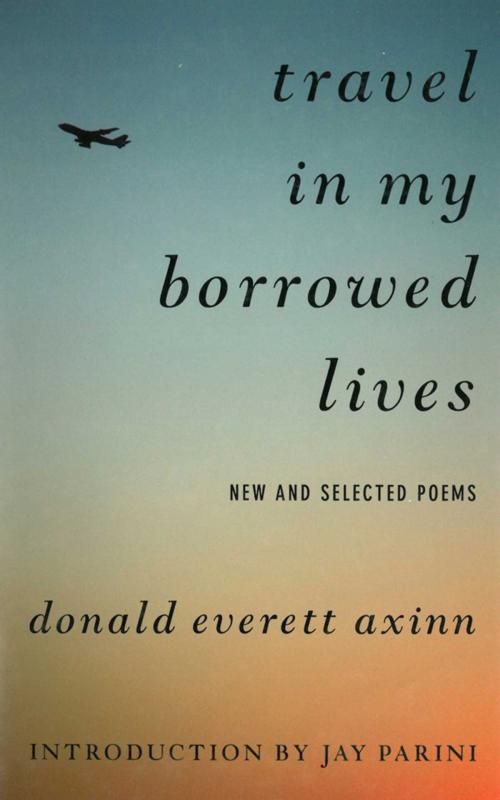 Cover of the book Travel in My Borrowed Lives by Donald Everett Axinn, Arcade