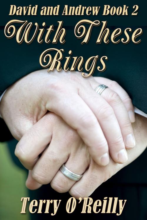 Cover of the book David and Andrew Book 2: With These Rings by Terry O'Reilly, JMS Books LLC