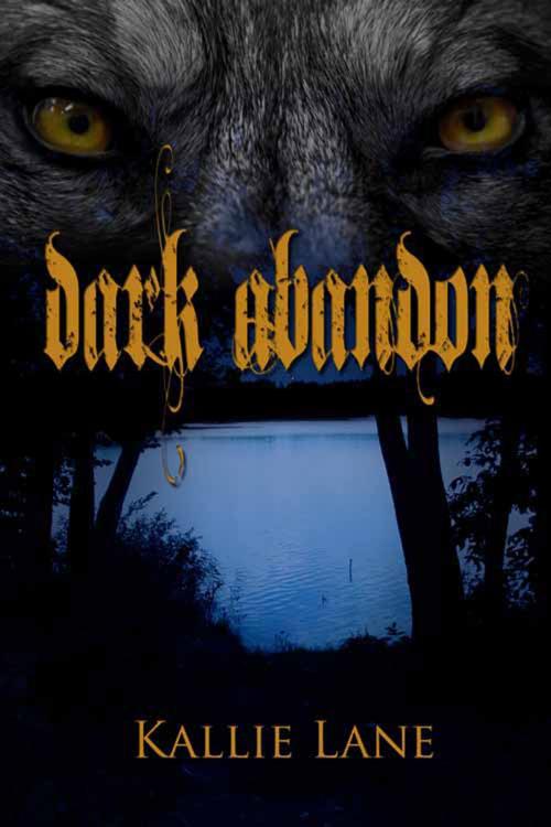 Cover of the book Dark Abandon by Kallie  Lane, The Wild Rose Press, Inc.