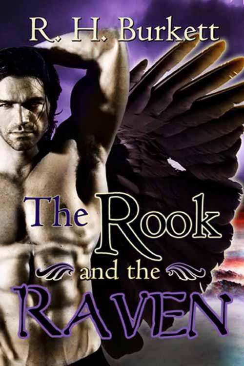 Cover of the book The Rook and The Raven by R. H. Burkett, The Wild Rose Press, Inc.